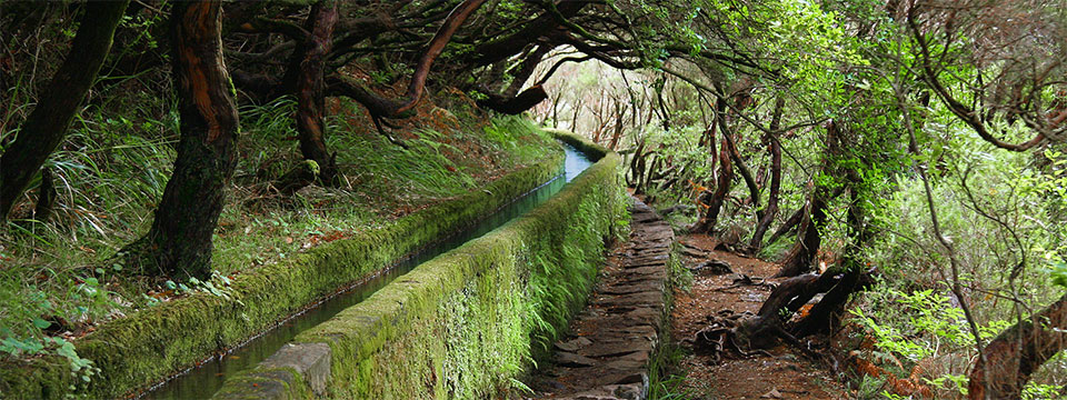 Herbstreise Naturschauspiel Madeira - Slide 4