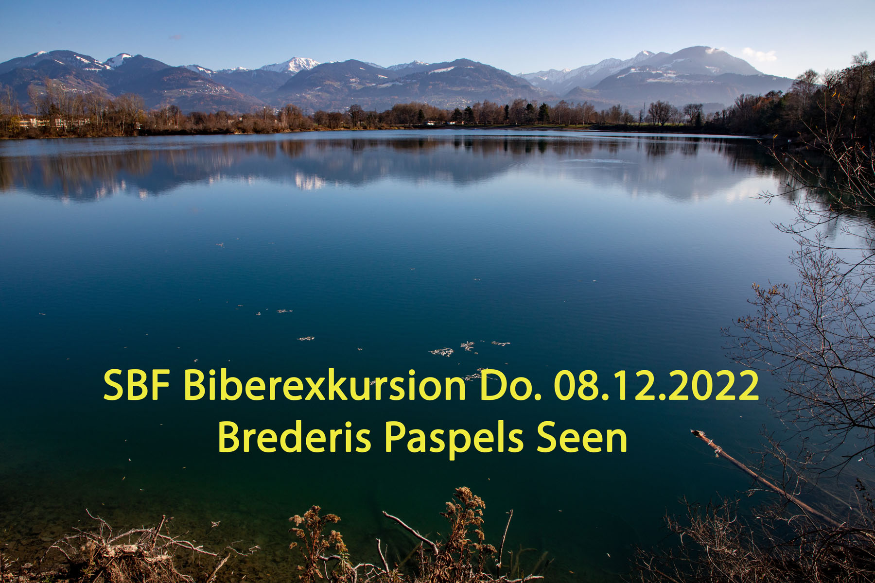 Biberexkursion Brederis Paspels Seen