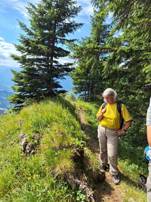 Seniorenwanderung Vorarlberg 50plus Höchst auf den Hüttenkopf im Großen Walsertal - Image 2