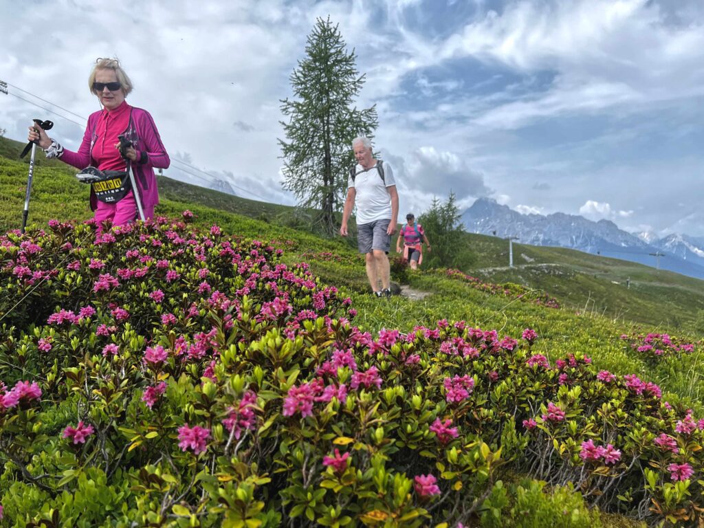 Wanderwoche im Osttirol