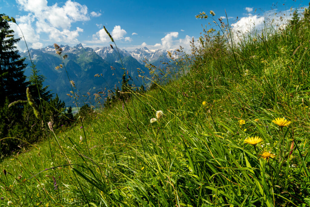 24.07.2024 – Wanderung mit Manfred zur Valors Alpe